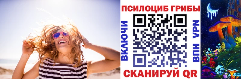 Псилоцибиновые грибы Cubensis  купить   Спасск-Рязанский 